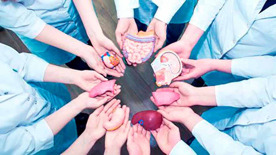 #GraciasDonantes, Día de la donación de órganos