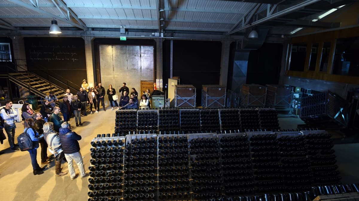 Argentina tiene 4 de las 50 mejores bodegas del mundo y están en Mendoza