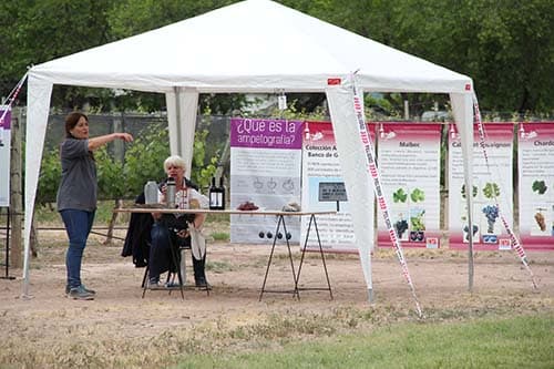 INTA Puertas Abiertas será el 19 y 20 de abril