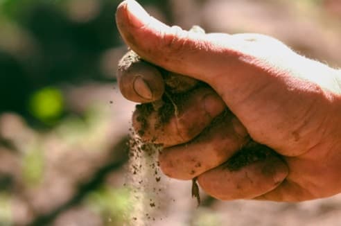 terroir advertencia temperatura