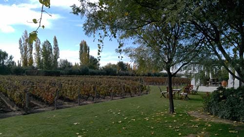Luján con 3 bodegas en el Top 10 y 8 entre las mejores 50