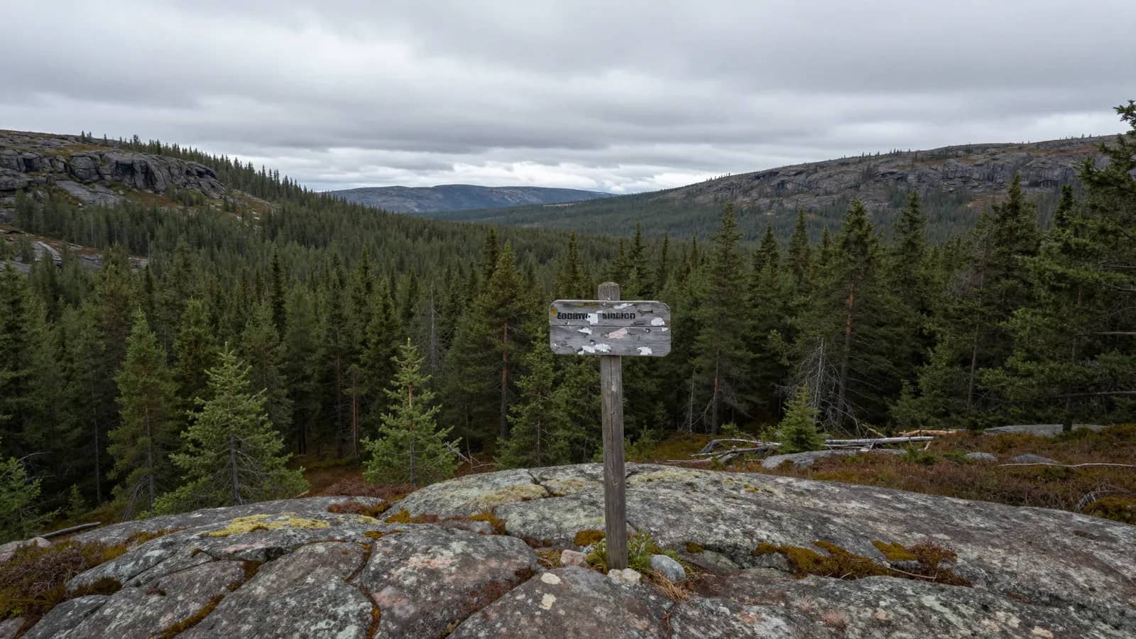 Un cartel de madera desgastado se alza sobre una roca frente a un extenso bosque de coníferas bajo un cielo nublado.