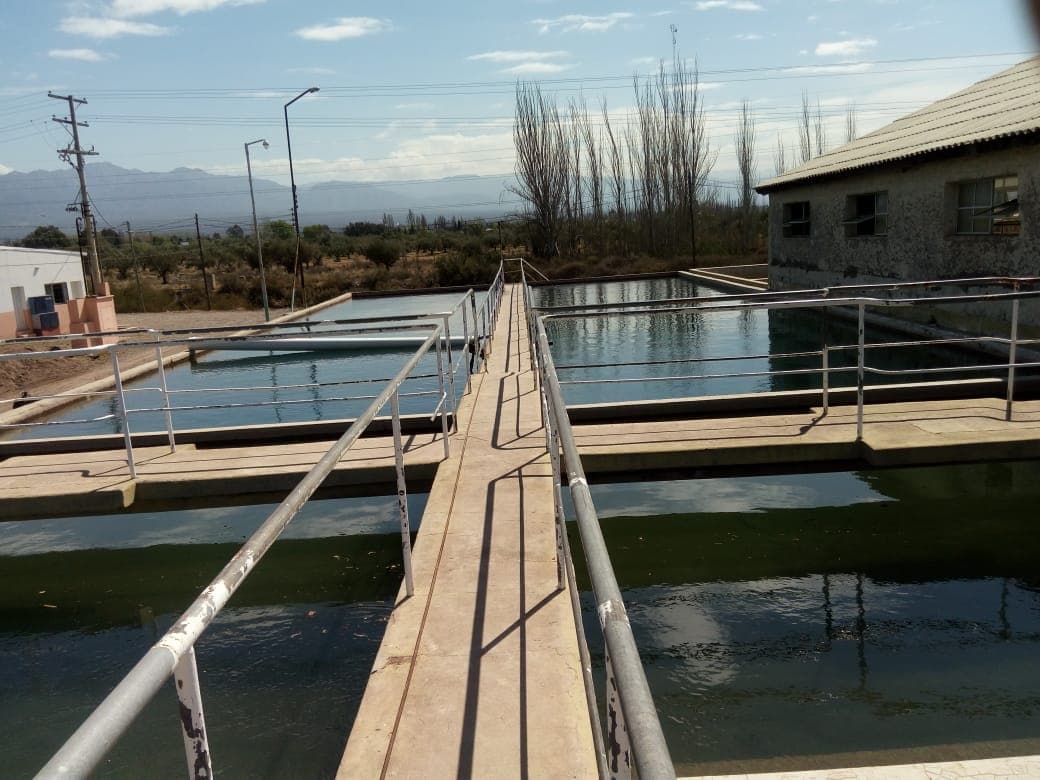 agua