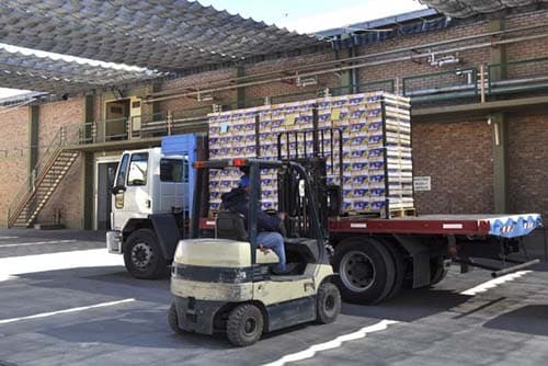 Mosca del mediterráneo: inscriben a productores para enviar a zonas libres
